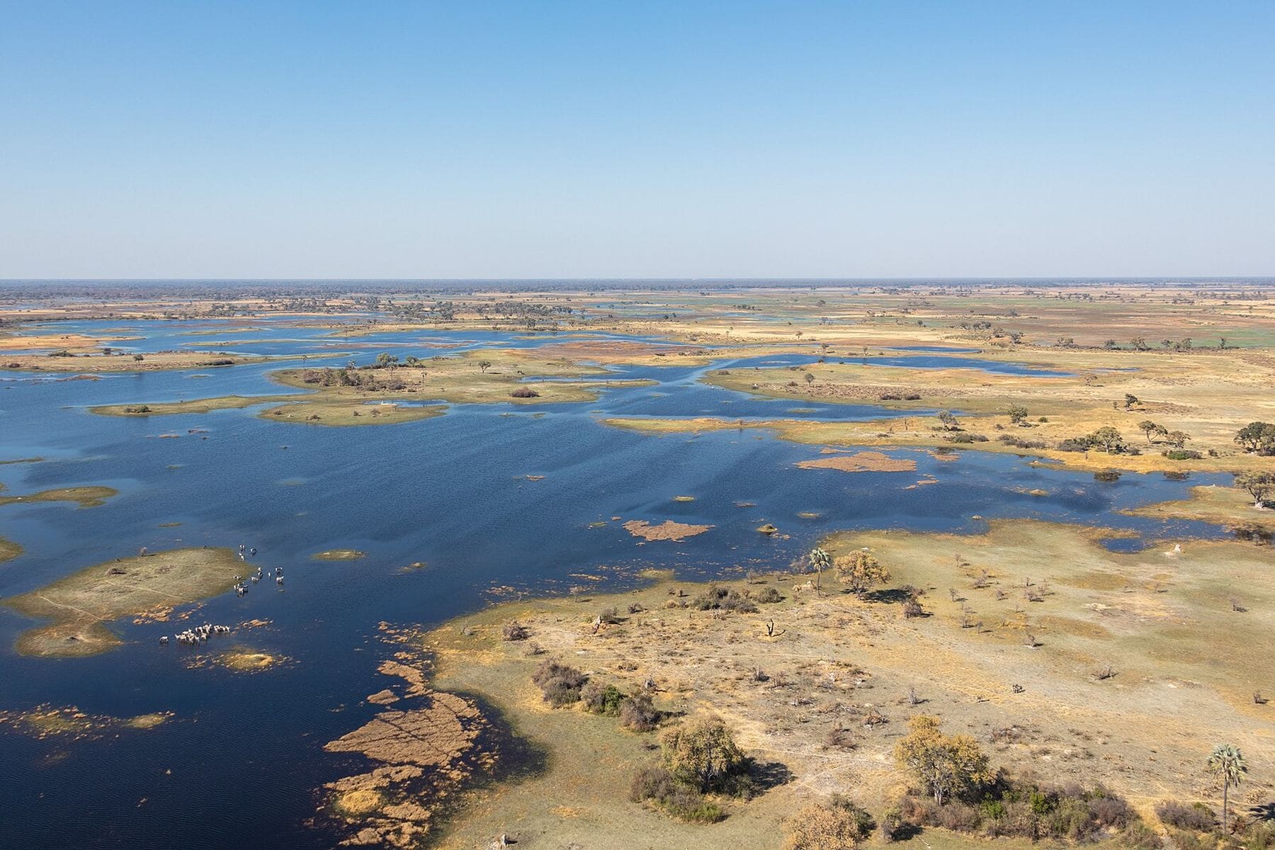 Aerial view of the Okavango Delta's channels and islands, Botswana