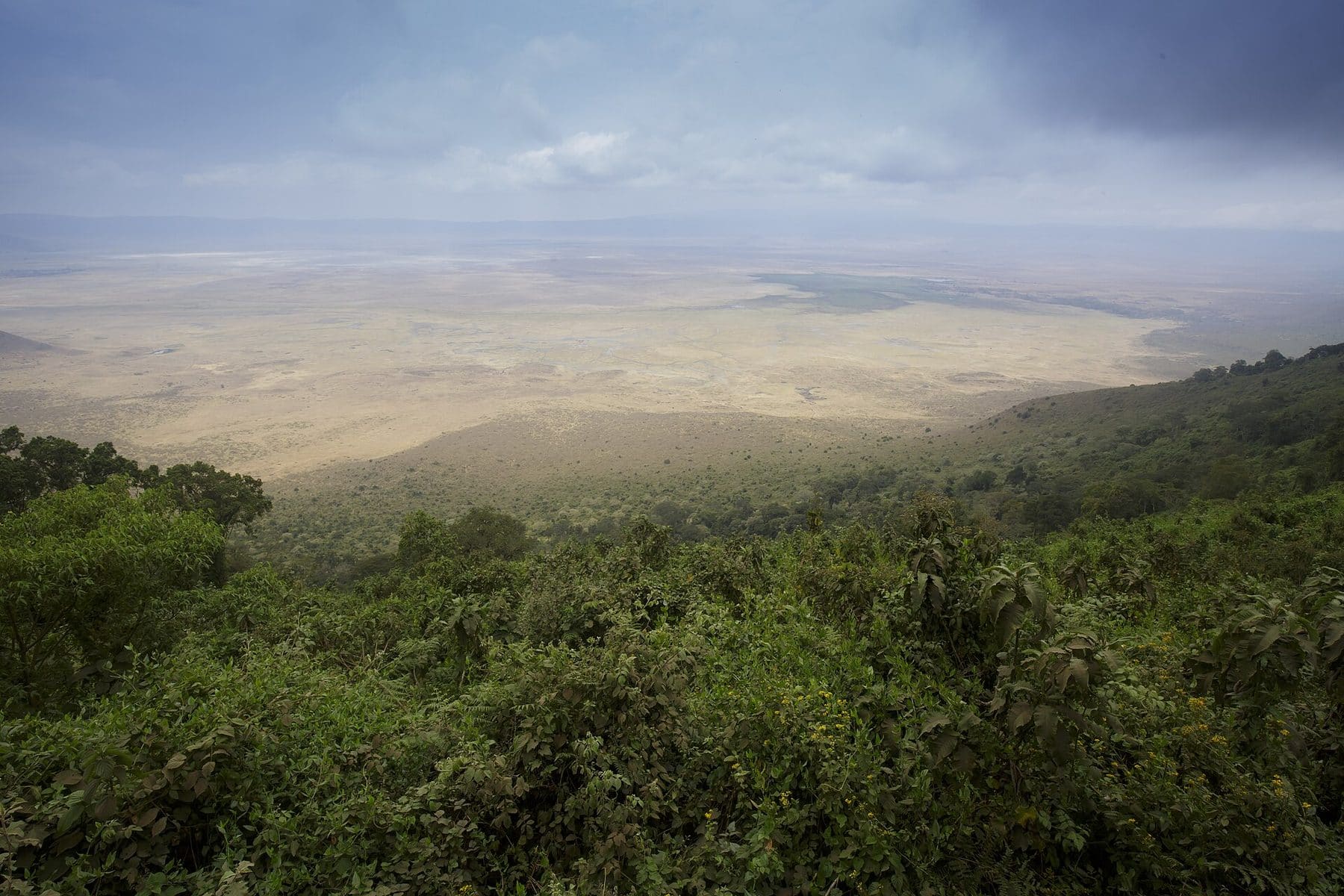 Ngorongoro Crater seen from the rim, Tanzania