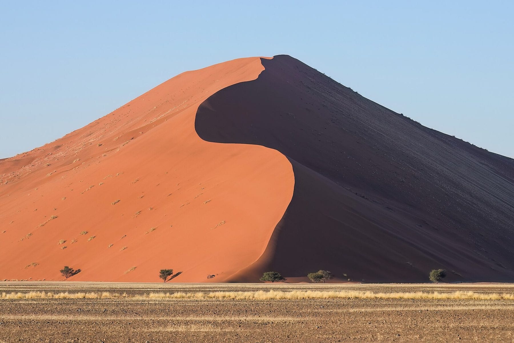 Dune 45 at sunrise in Sossusvlei, Namibia