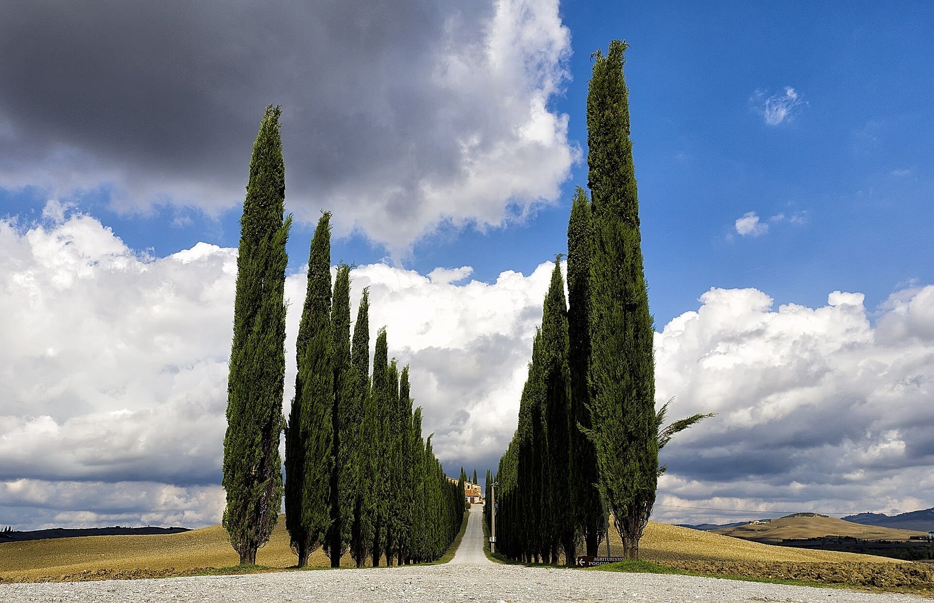 Cypress-lined avenue leading to a farmhouse in the Val d’Orcia, Tuscany